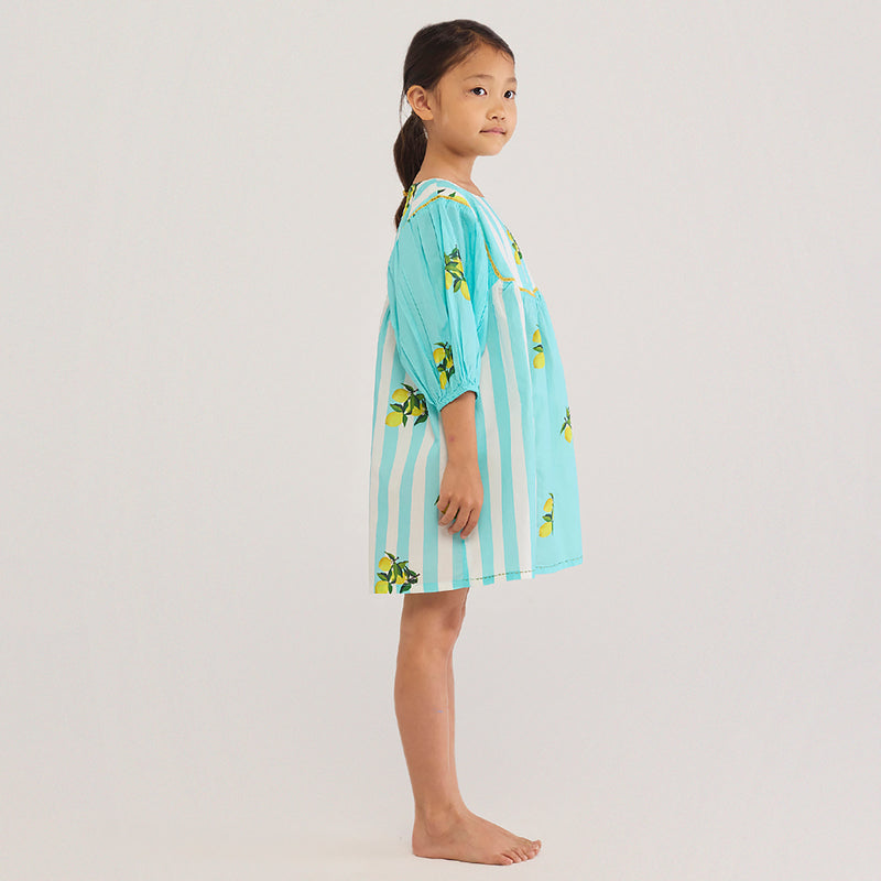 Lemon Knee-Length Pima Cotton Dress