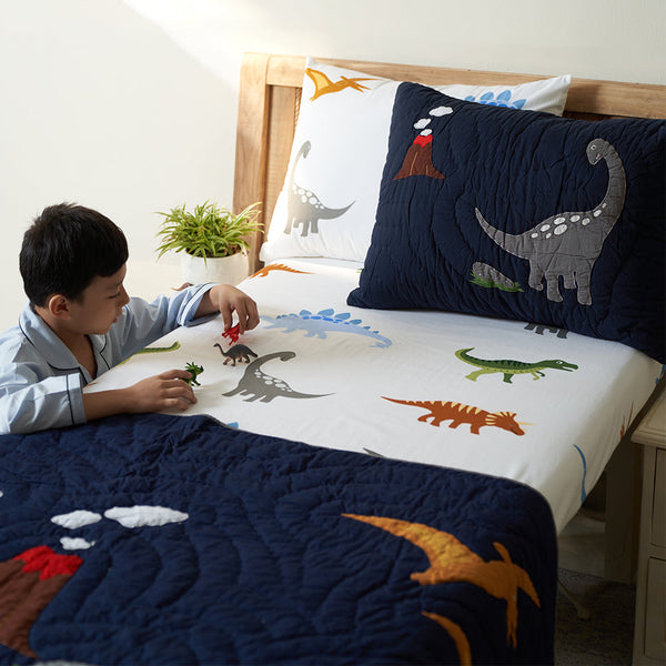 Dino Land Pillow Sham