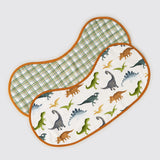 Dinosaurs Organic Burp Cloth/Bib Set