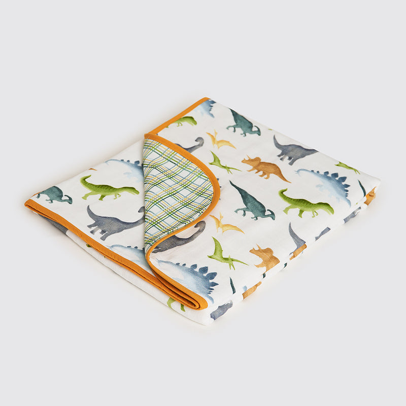 Dinosaurs Organic Reversible Blanket