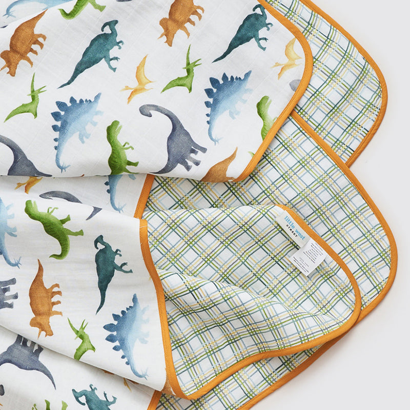 Dinosaurs Organic Reversible Blanket