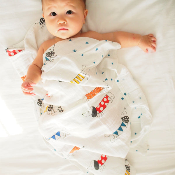 Puppy Love Swaddle