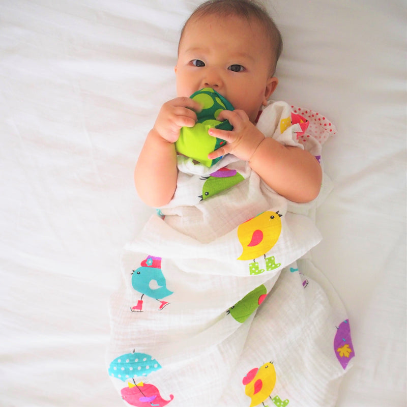 Tweetie Pie Swaddle